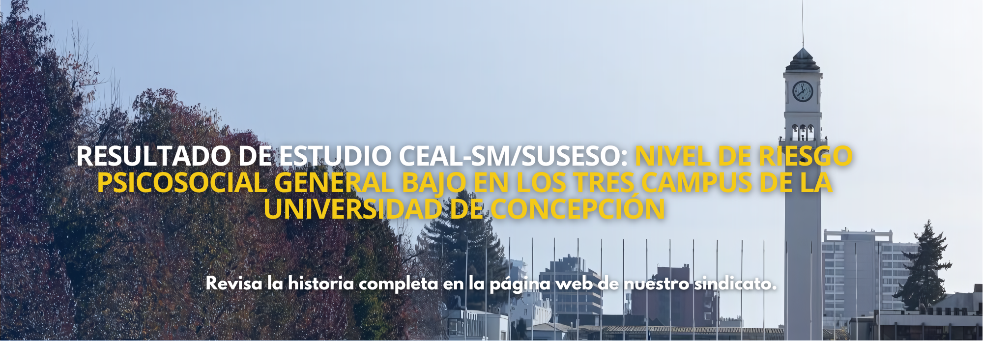 Resultado de Estudio CEAL-SM/SUSESO: Nivel de Riesgo Psicosocial General Bajo en los Tres Campus de la Universidad de Concepción